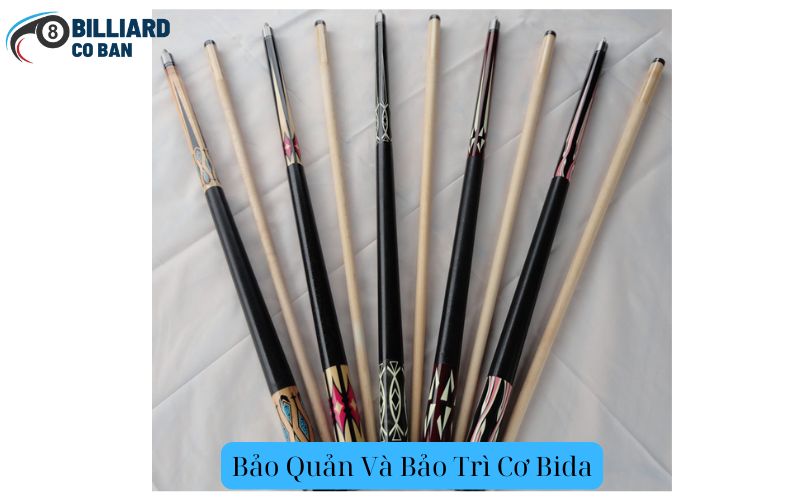 Bảo Quản Và Bảo Trì Cơ Bida