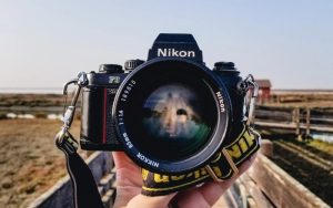 Cách bắt trọn những khoảnh khắc hành động tốc độ cao trong nhiếp ảnh